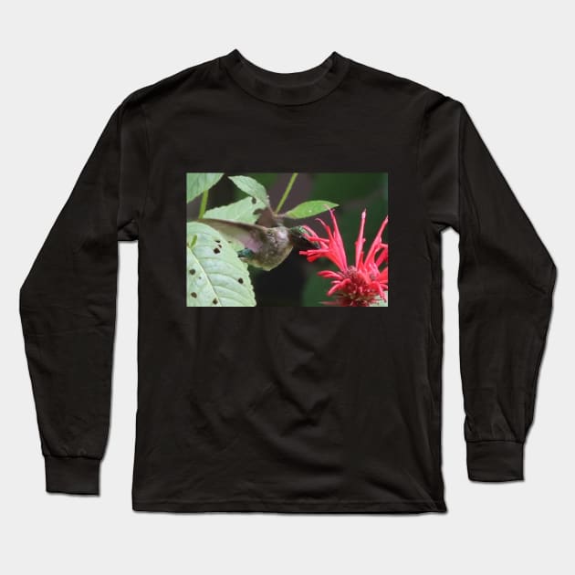 A Hummingbird partaking in Bee Balm Nectar Long Sleeve T-Shirt by Judy Geller